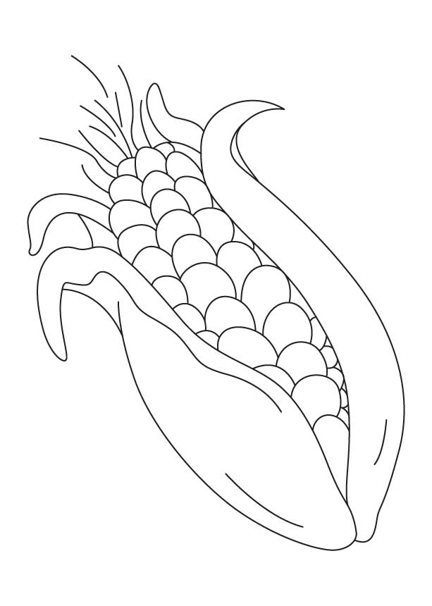 indian corn coloring page