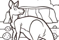 free kangaroo coloring pages