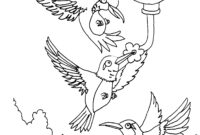 hummingbird coloring pages for adults