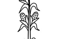 coloring page of corn