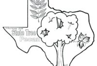 colorado coloring page