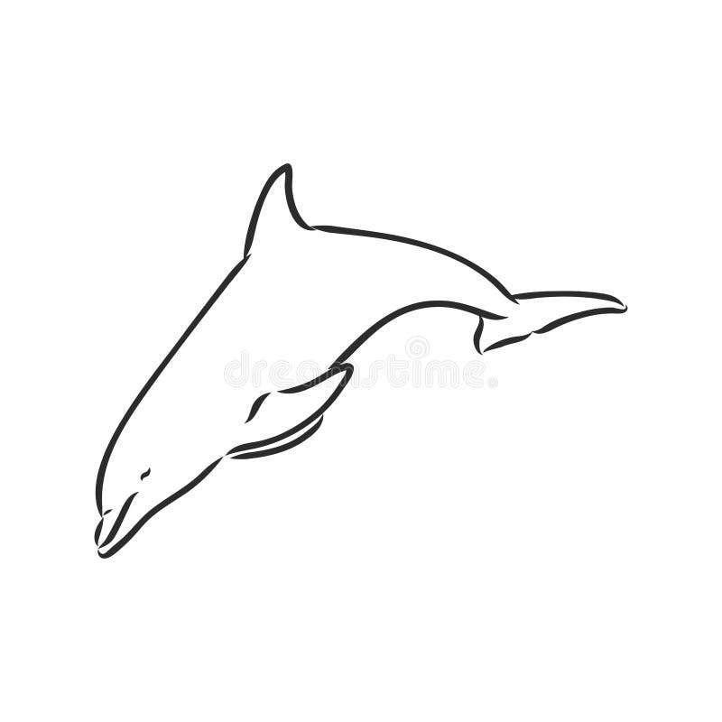 delphin silhouette