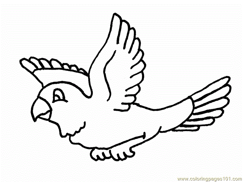 bird flying coloring page