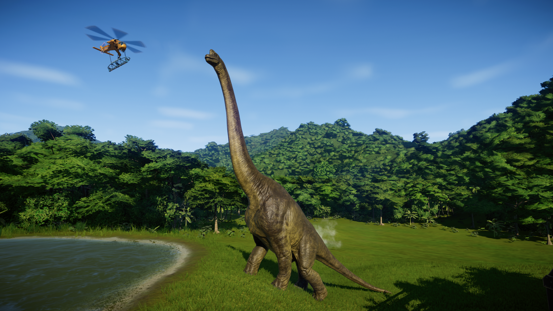 brachiosaurus bilder