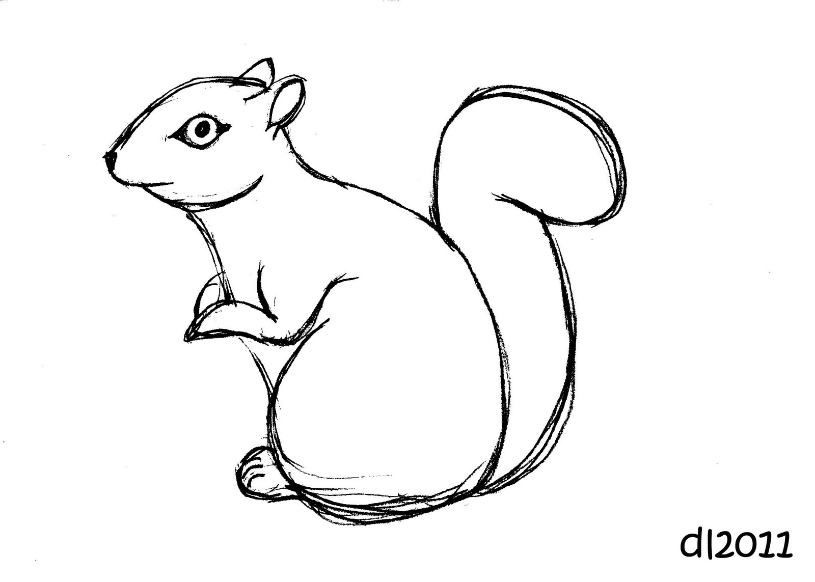 flying squirrel coloring page