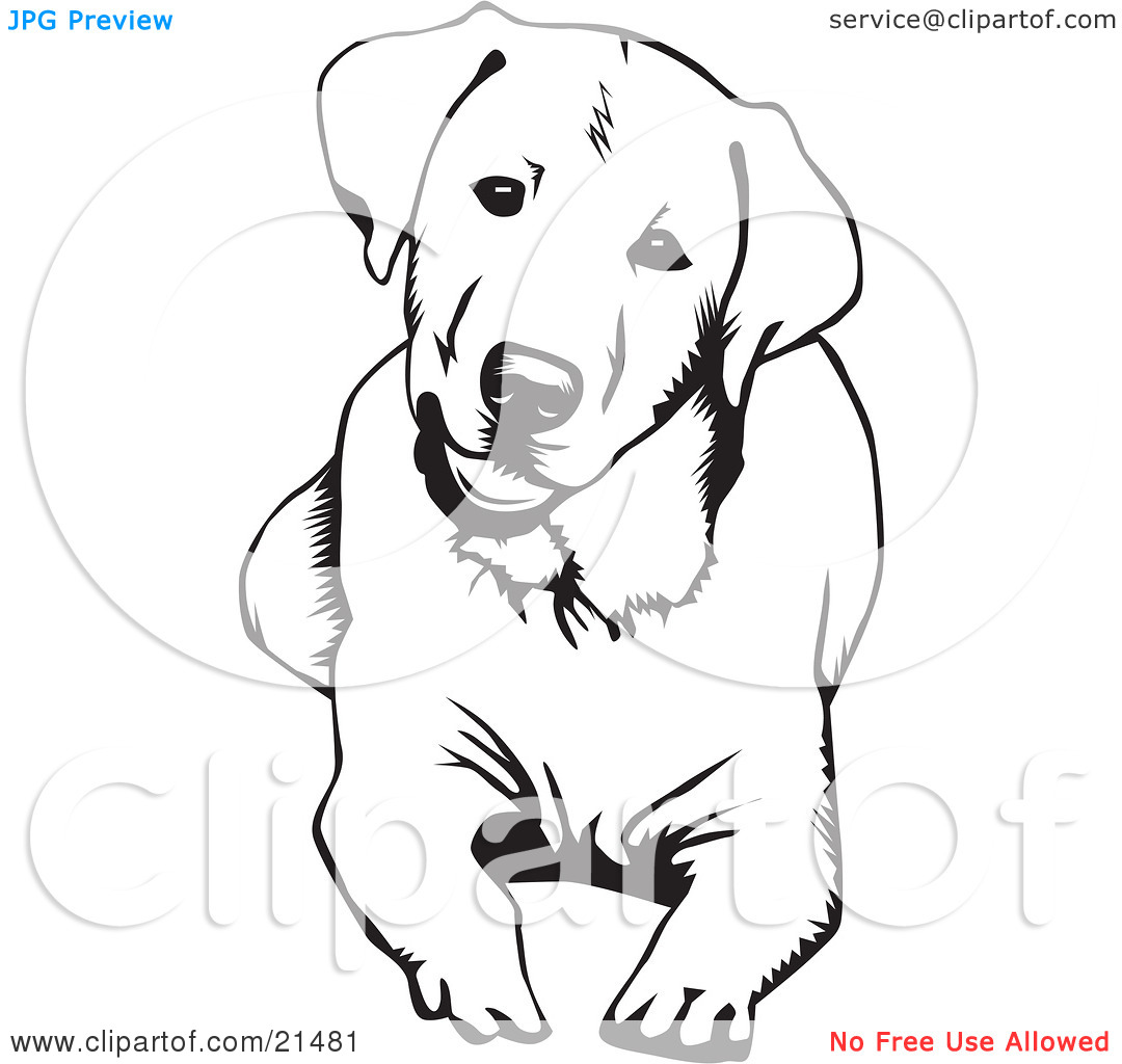 labrador retriever coloring page