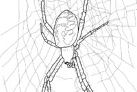 scary spider coloring pages