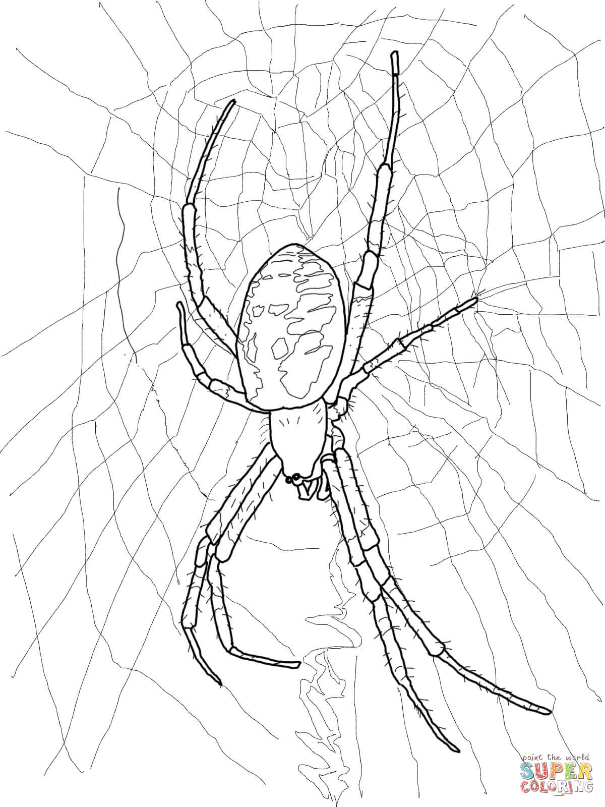 scary spider coloring pages