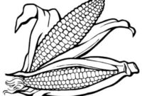 coloring pages corn