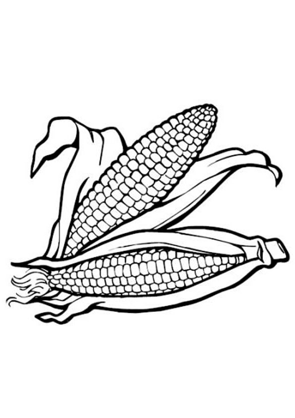 Coloring Pages | Two Corn Coloring Page