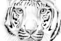 white tiger coloring page