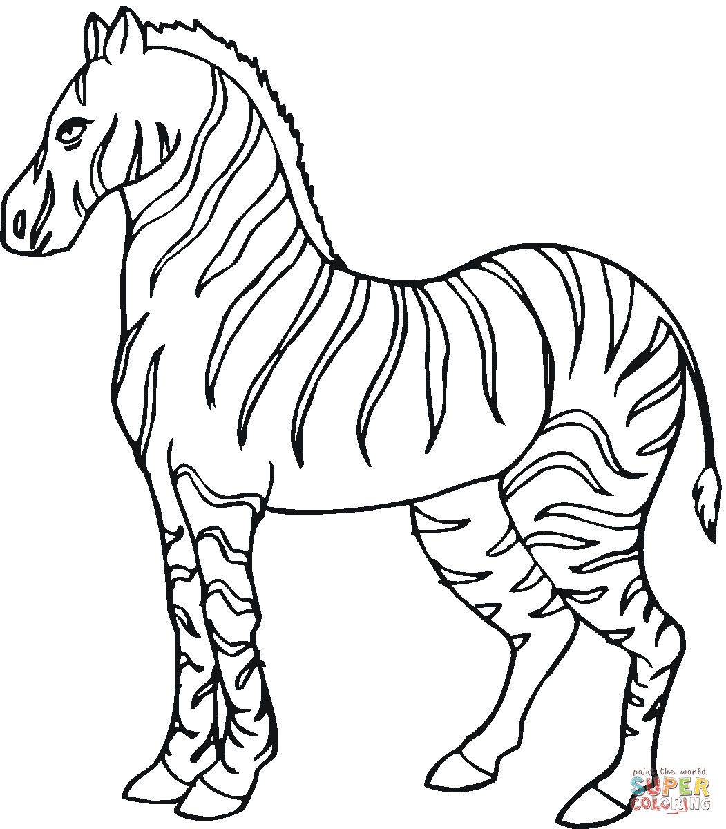 zebra coloring page