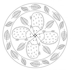 mandalas blätter