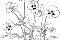 pansy coloring page