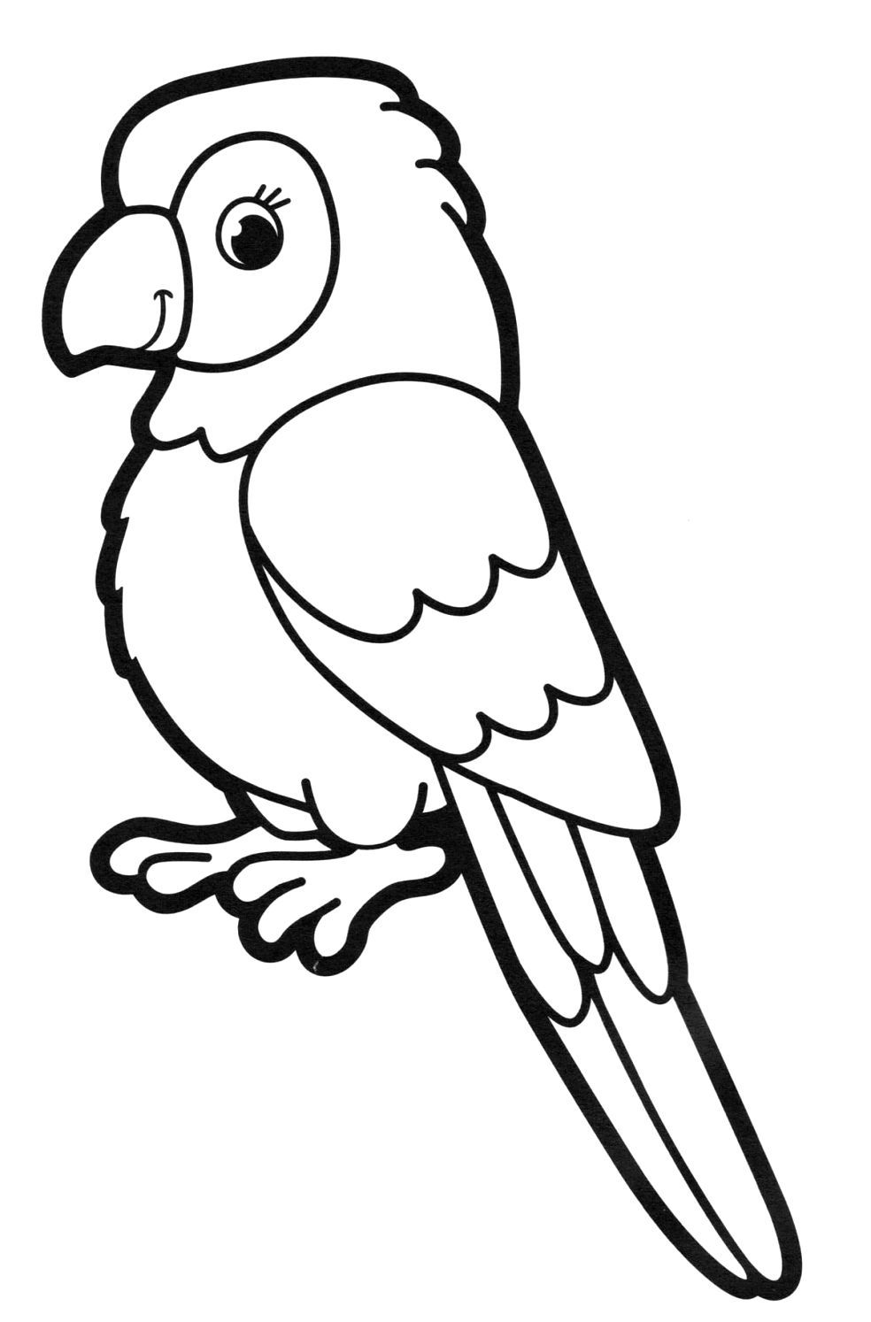 Neu Malvorlage Papagei Einfach Sei Kreativer | Coloring pages, Animal