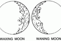 moon phases coloring page