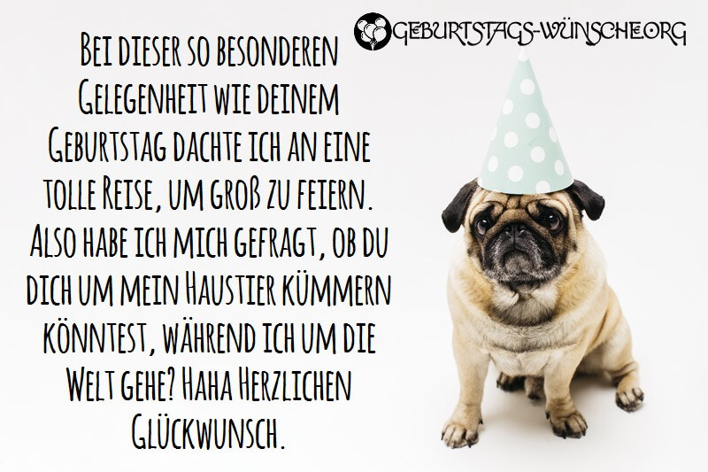 bilder lustig geburtstag