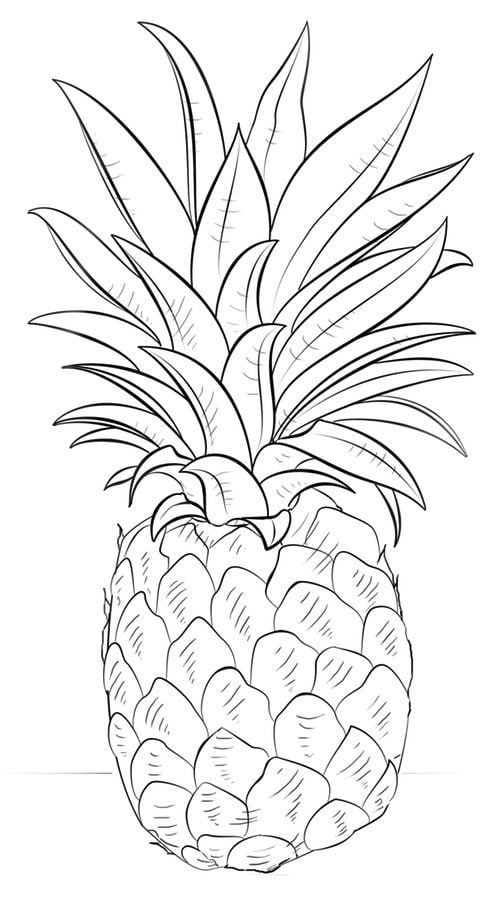 ananas malen einfach