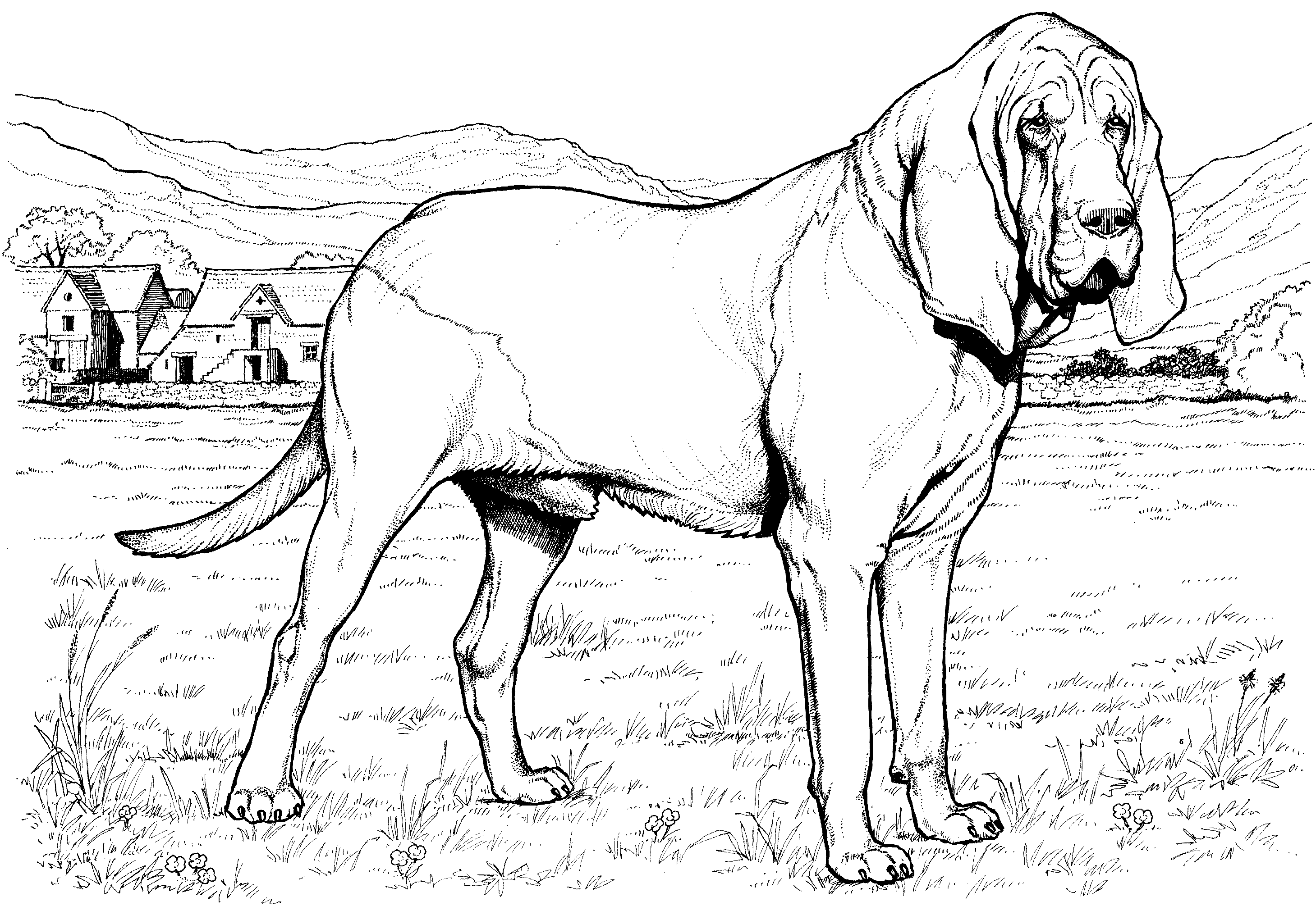 Baby Dogs Coloring Pages - Coloring Home