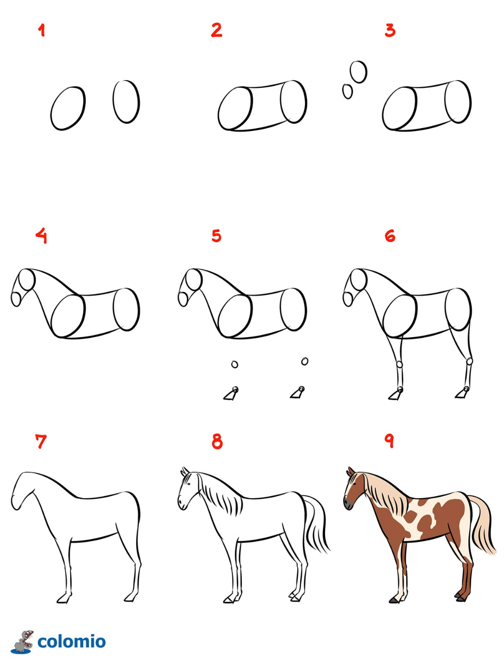 step by step instructions to draw a horse