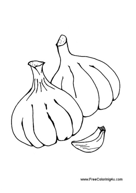 garlic coloring page