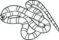 snake coloring page printable