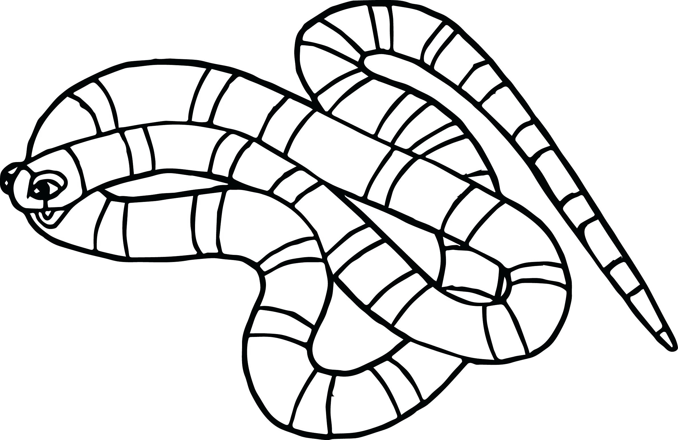 Snake Coloring Pages For Kids at GetColorings.com | Free printable