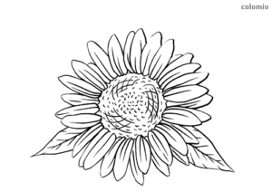 sonnenblume vorlage pdf