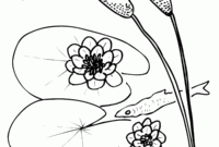 lily pad coloring pages