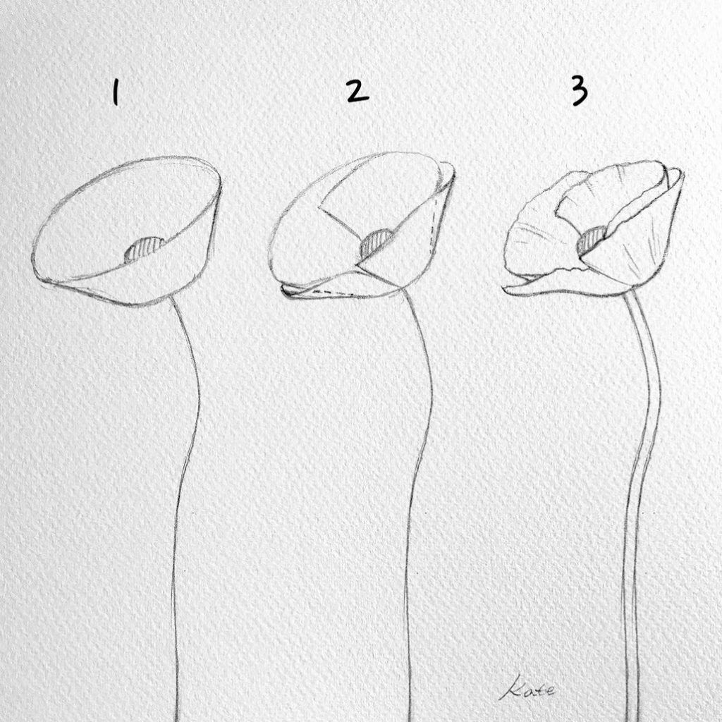 How to draw flowers | Easy flower drawings, Flower sketches, Flower drawing