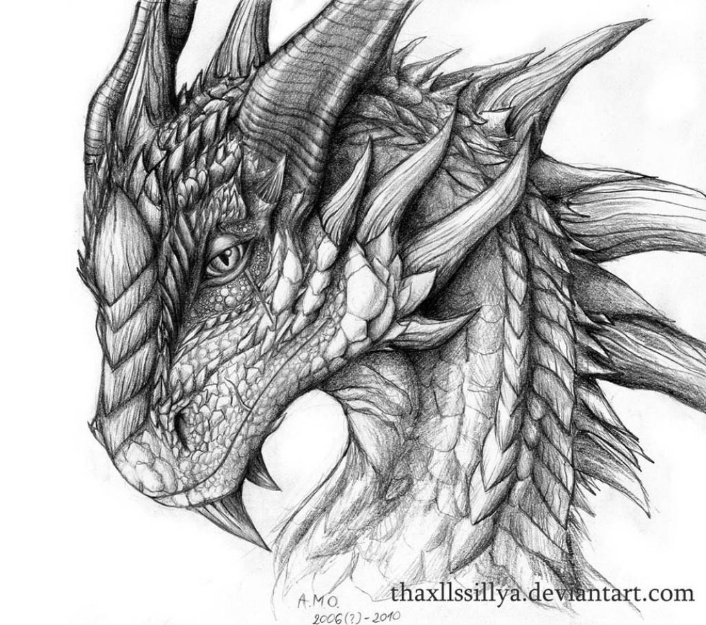 Drachen (38) #realisticeye Drachen (38) | Drachenkopf zeichnung