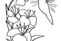 hummingbird coloring pages