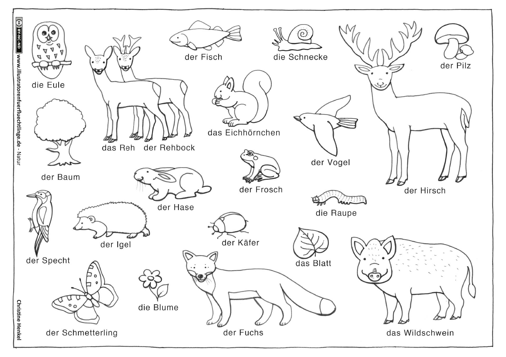 Natur – Wald Tiere Pflanzen – Illustratoren für Flüchtlinge