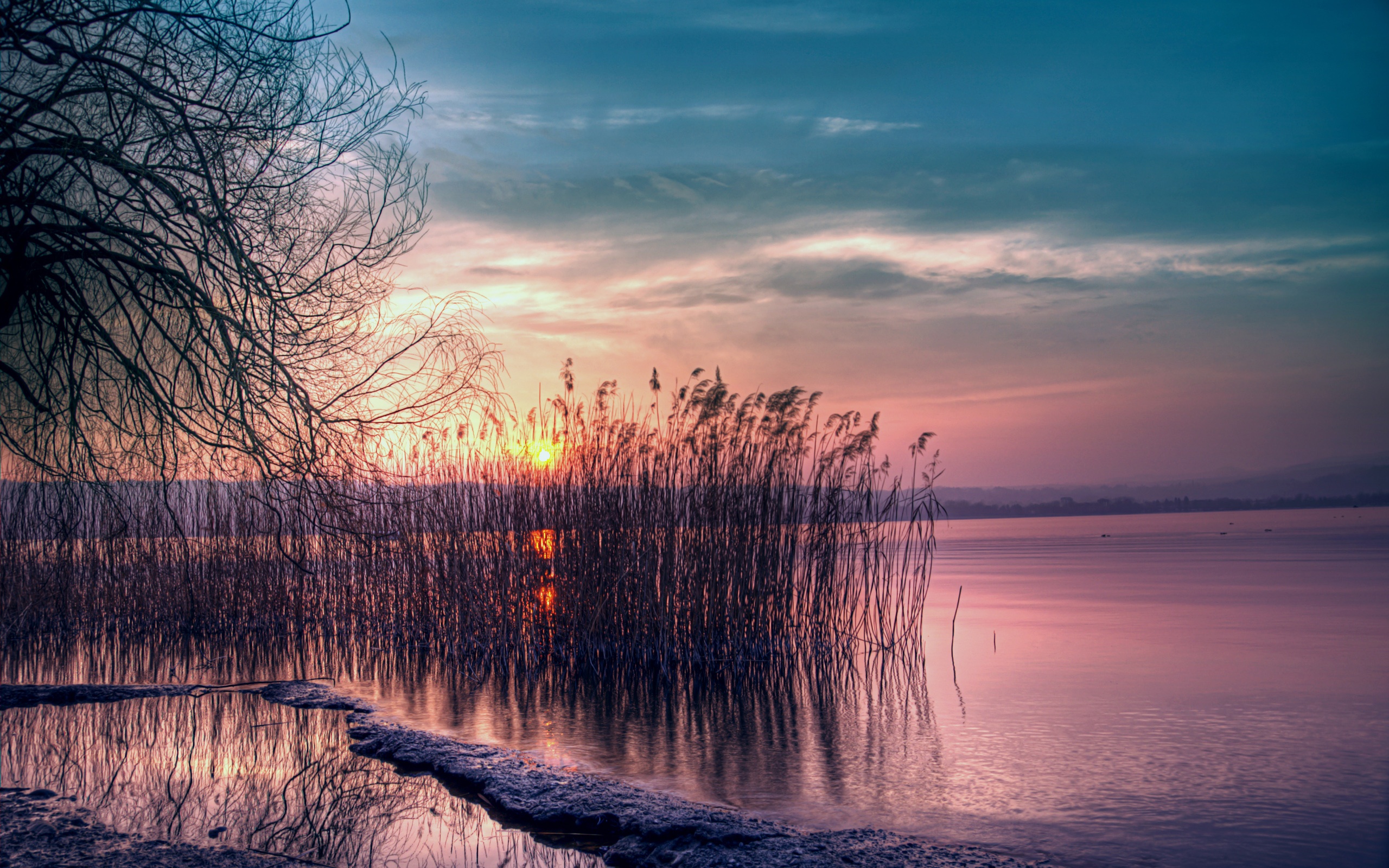 Crepúsculo hermoso paisaje, lago tranquilo, caña, puesta del sol Fondos