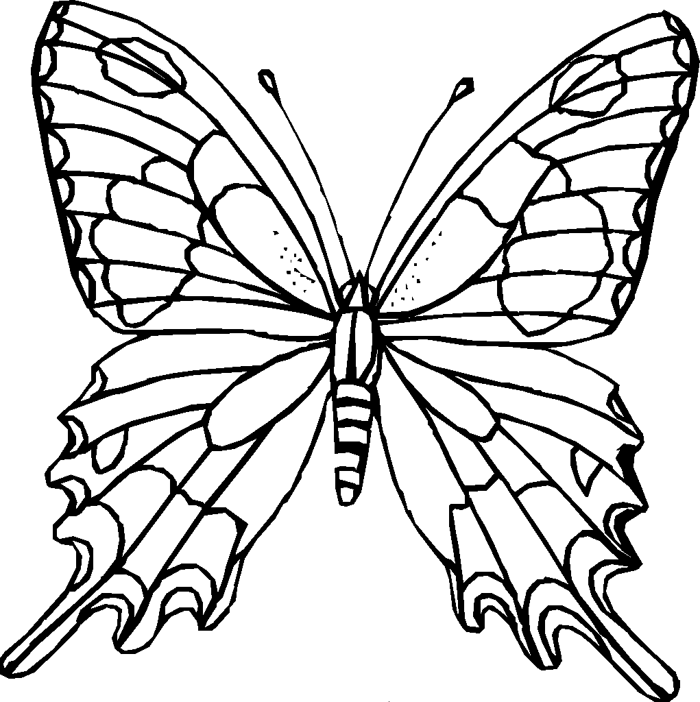 schmetterling zum malen