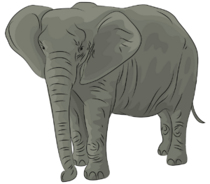 elefant umrisse