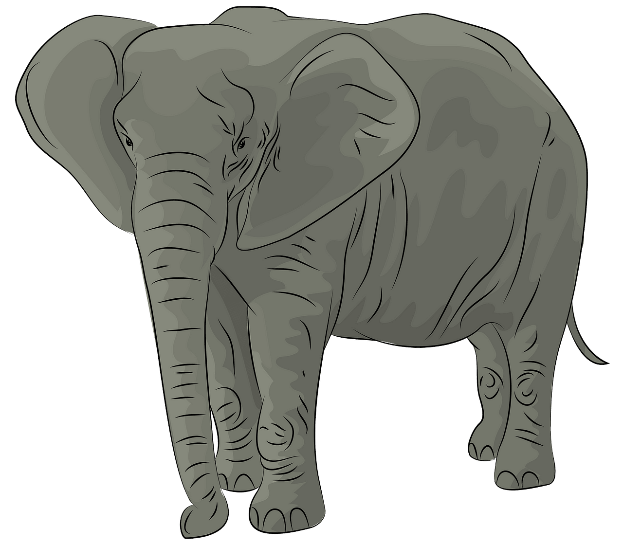 elefant umrisse