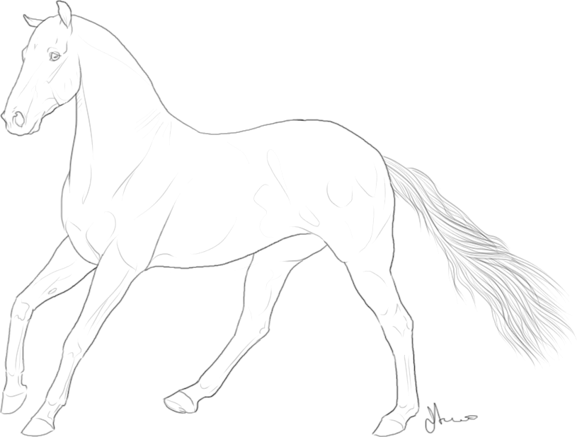 horse tack coloring pages