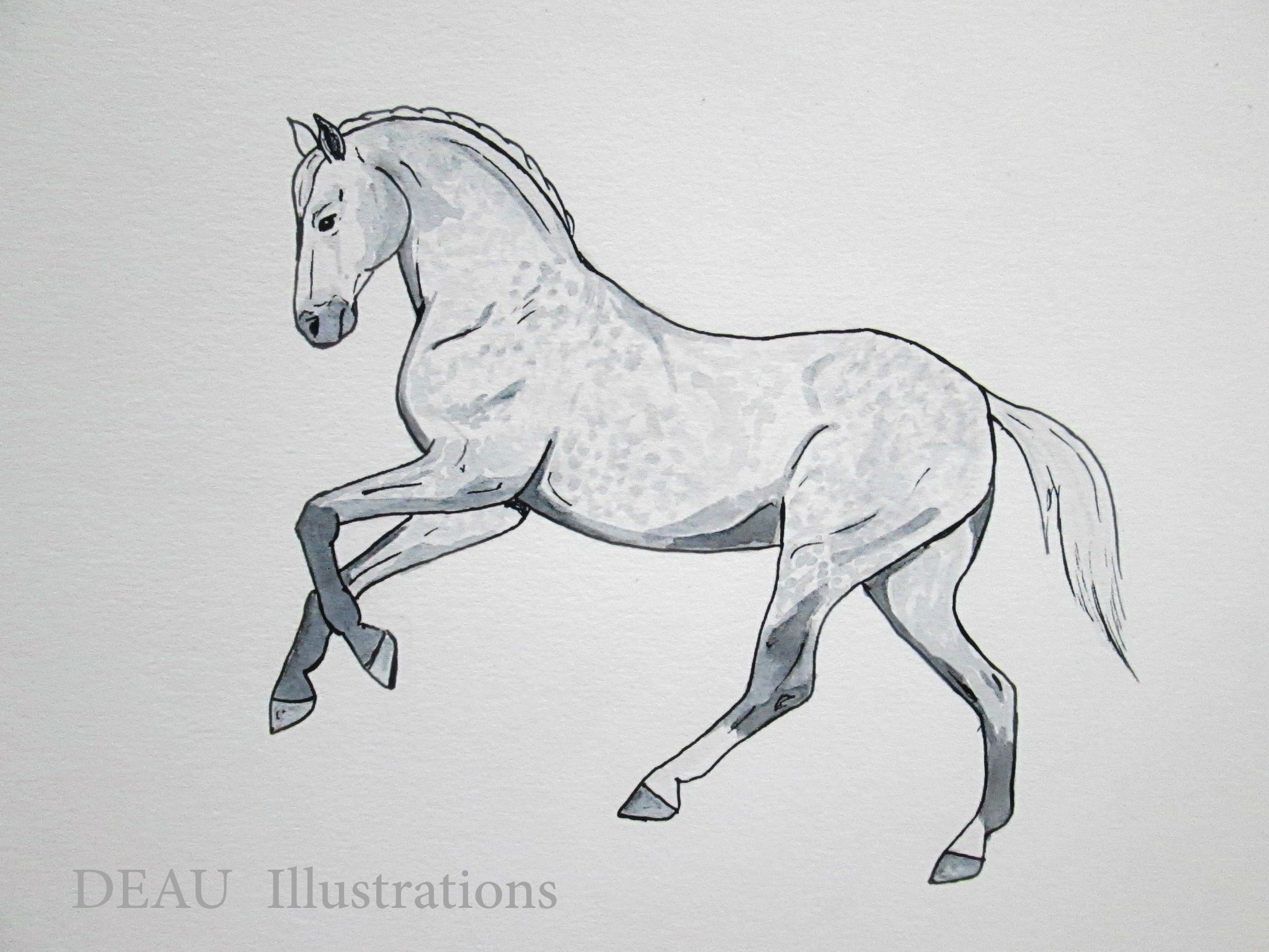 Pin by Mia terhorst on zeichnen | Horse sketch, Horse draw, Horse drawings