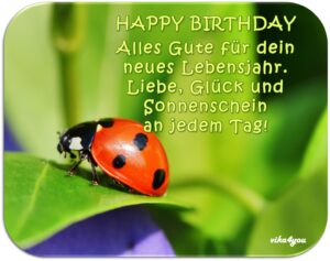 videos zum geburtstag kostenlos