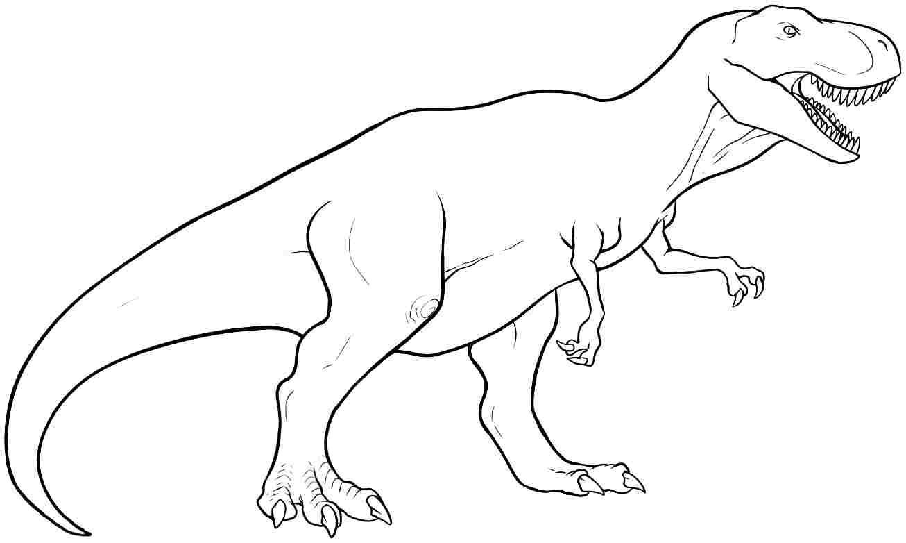 t rex ausmalbild malbilder | Dinosaur coloring pages, Dinosaur pictures