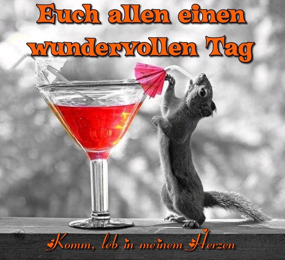 wünsche euch einen schönen tag bilder