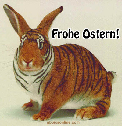 ostern lustiges bild