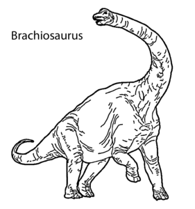 brachiosaurus ausmalbilder