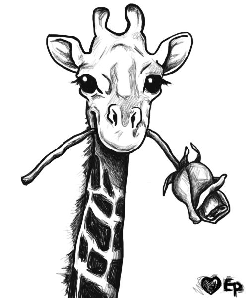 zeichnung giraffe