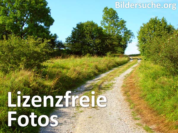 lizensfreie kostenlose bilder