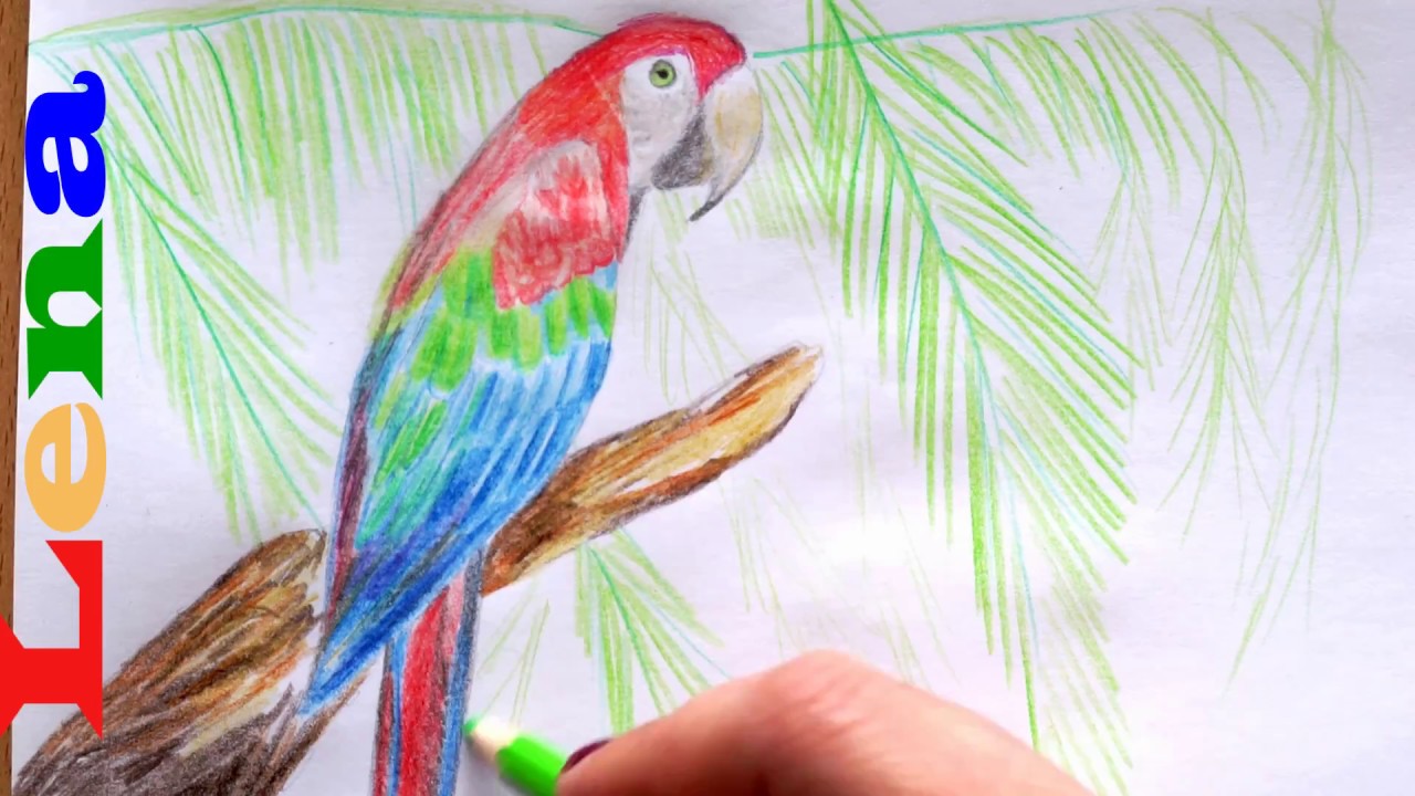 Papagei zeichnen mit Lena 🦜 Vogel malen🦜 How to draw a parrot 🦜 Bird