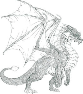 drache anmalen