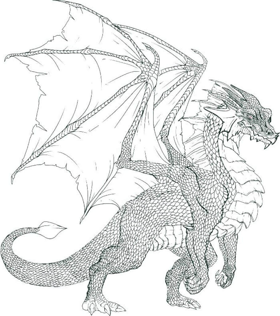 drache anmalen