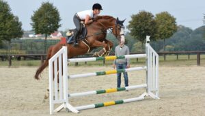 hindernis beim springreiten kreuzworträtsel